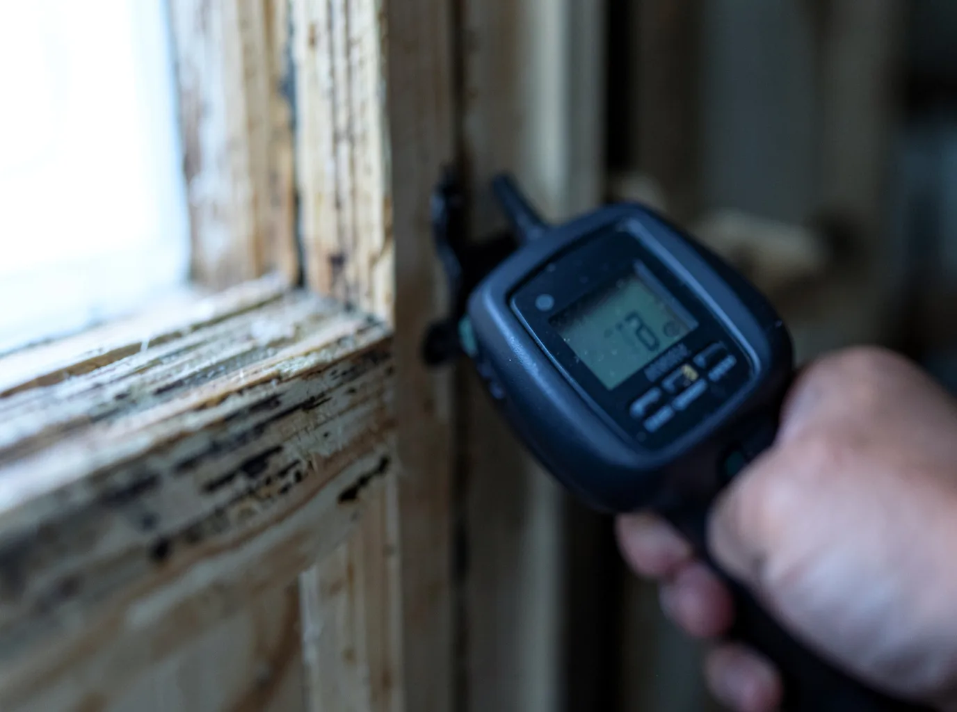 Ceiling Water Damage Repair in Eagar, AZ
